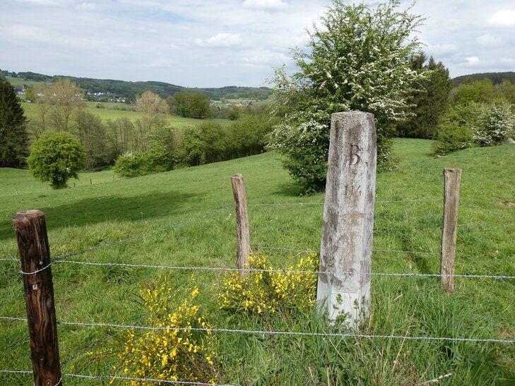 Loisirs Randonnée forestière 16 au des anciennes bornes belgo-prussiennes