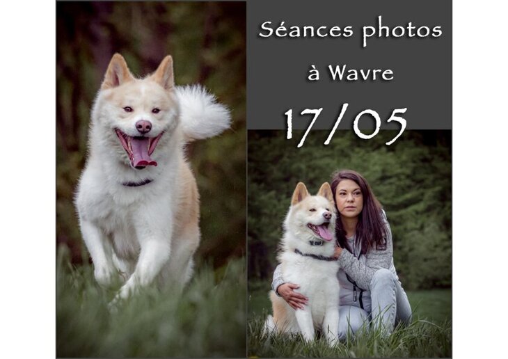 Loisirs Séances photos  chien-humain 
