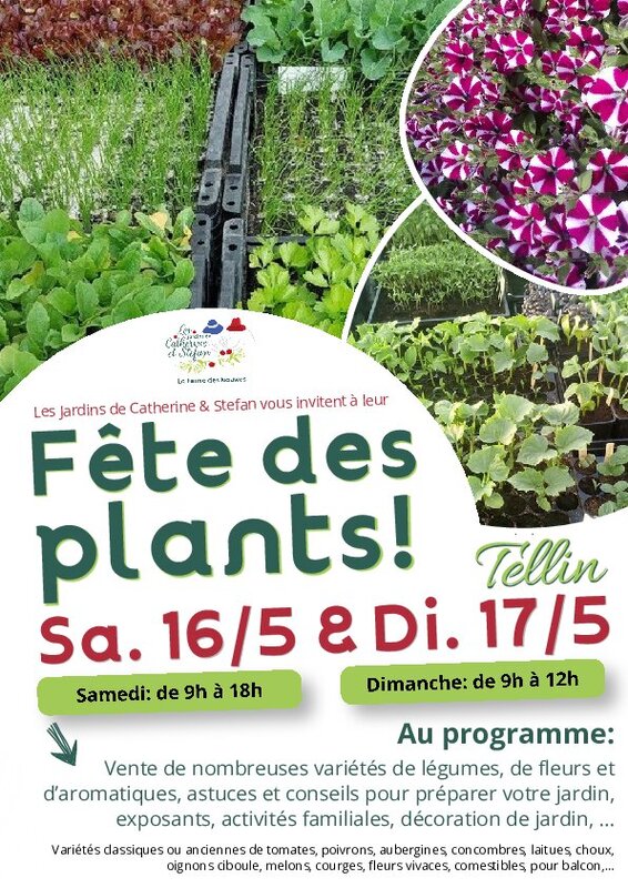 Loisirs Fête plants