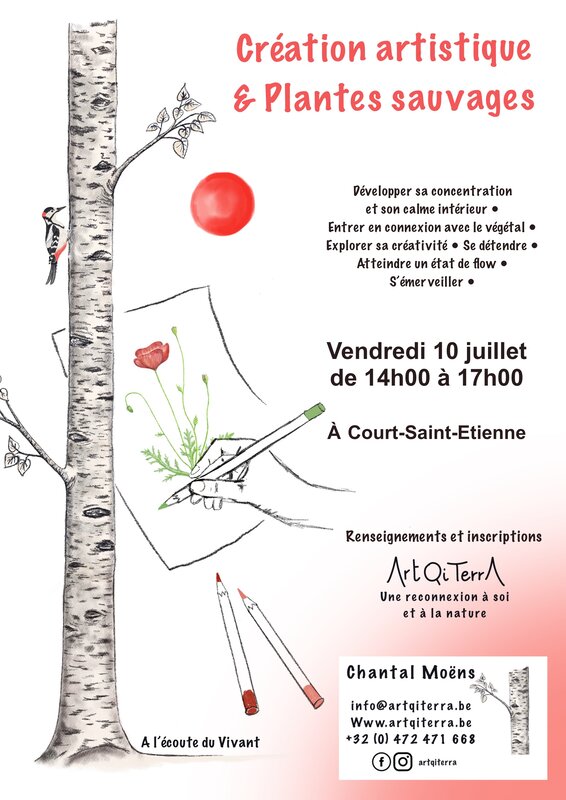 Stages,cours Création artistique plantes sauvages