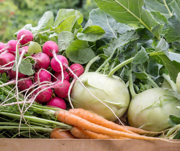 Loisirs Tous la Ferme Héron : ateliers échanges autour la nature de l’alimentation