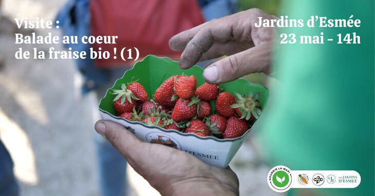 Loisirs Balade coeur la fraise - Jardins d’Esmée