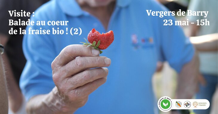 Loisirs Balade coeur la fraise - Vergers Barry
