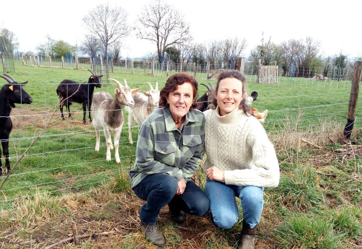 Stages,cours Quand protéines végétales rencontrent protéines animales