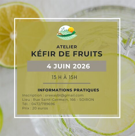 Stages,cours Atelier kéfir fruits