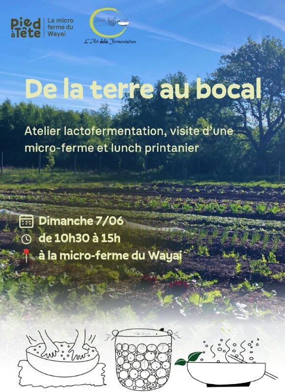 Stages,cours De terre bocal : Atelier lactofermentation, visite micro-ferme lunch