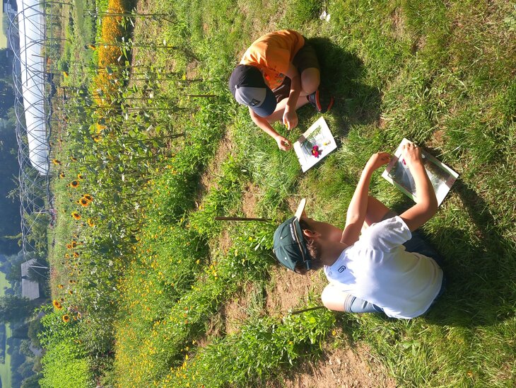 Stages,cours Activité parent/enfant la Framboiserie