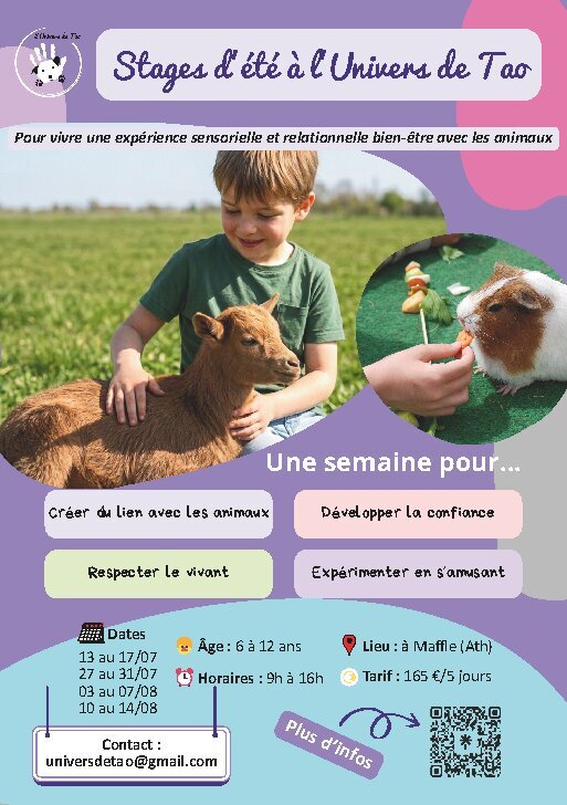 Stages,cours A rencontre animaux