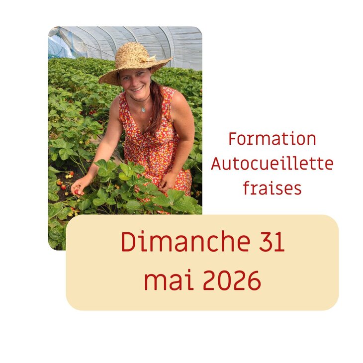 Loisirs Formation l auto-ceuillette fraises