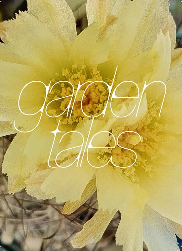 Loisirs Garden tales
