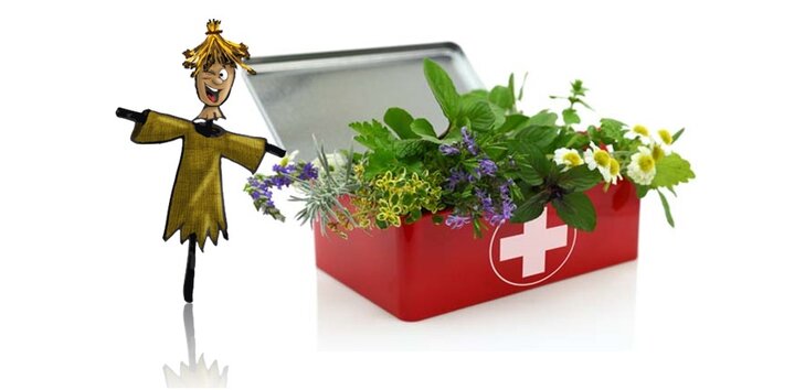 Stages,cours La découverte la pharmacie naturelle