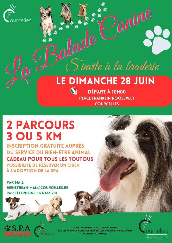 Loisirs Balade canine