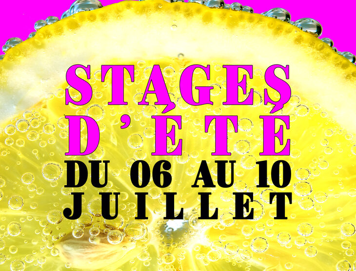 Stages,cours Stages d été
