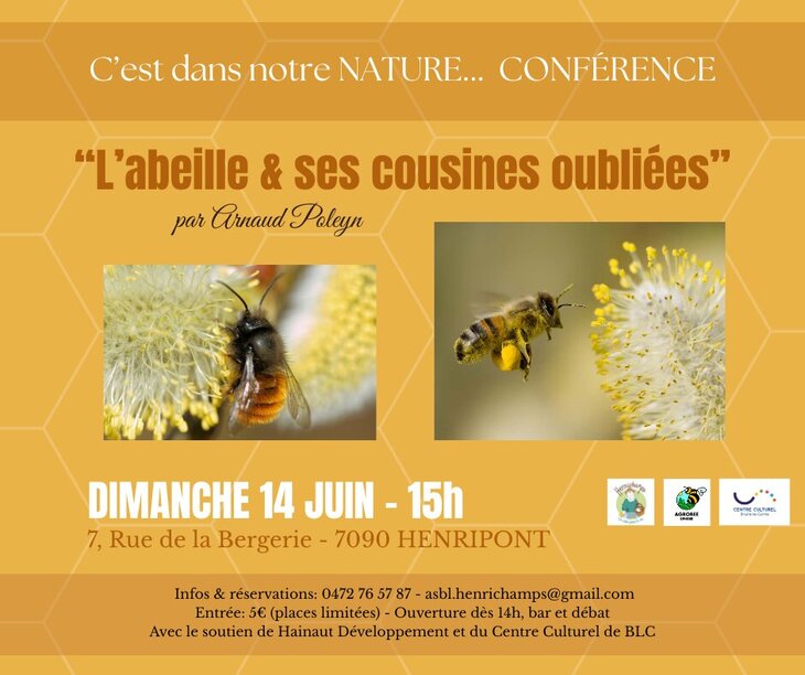 Conférences Conférence: l abeille & cousines oubliées