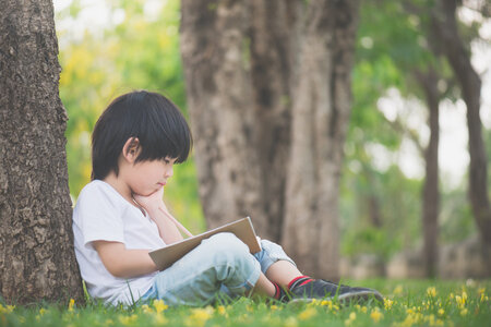 Stages,cours Créa-contes