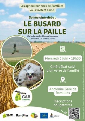 Spectacles Soirée ciné-débat busard la paille