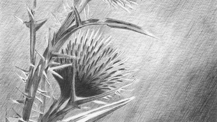 Stages,cours Stage | Technique stylo-bille