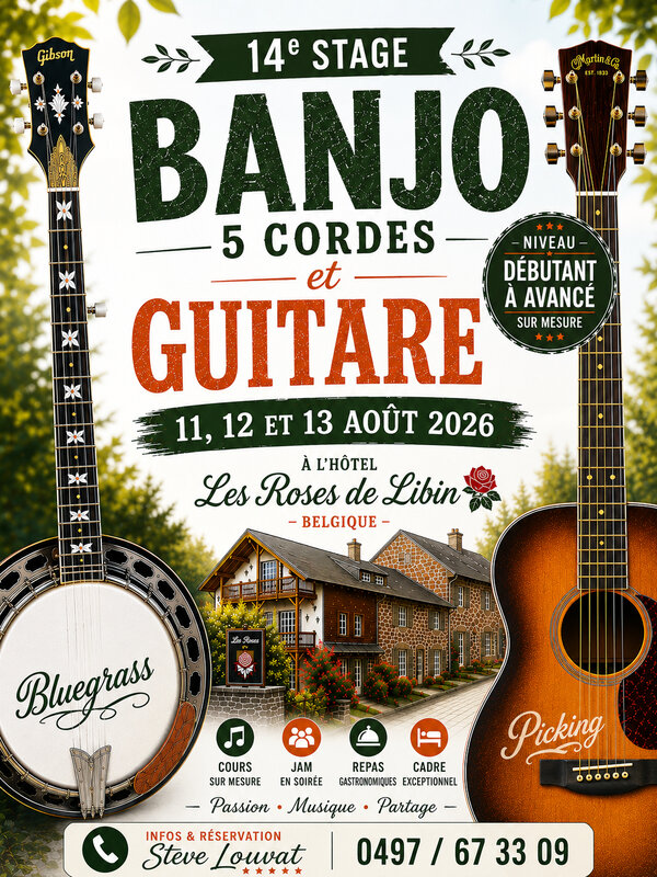 Stages,cours Stage banjo 5 cordes de guitare