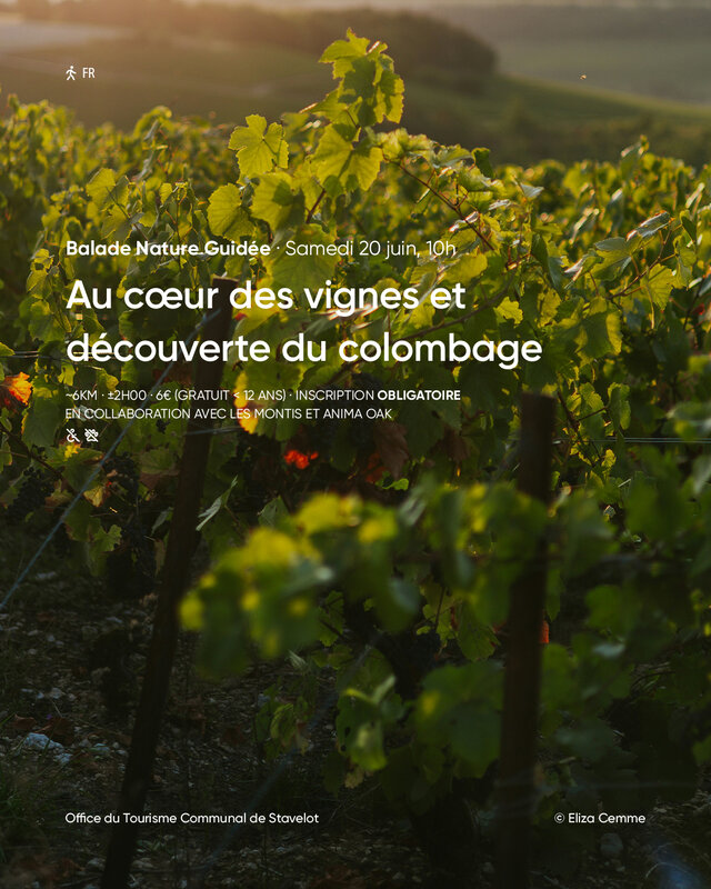 Loisirs Balade Nature Guidée Au cœur vignes découverte colombage