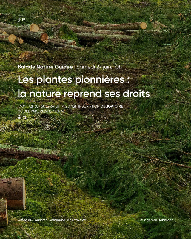 Loisirs Balade Nature Guidée Les plantes pionnières : nature reprend droits