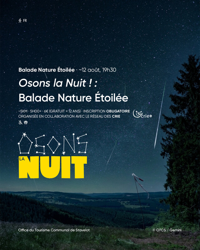 Loisirs Osons nuit ! Balade Nature Étoilée (Perséides)