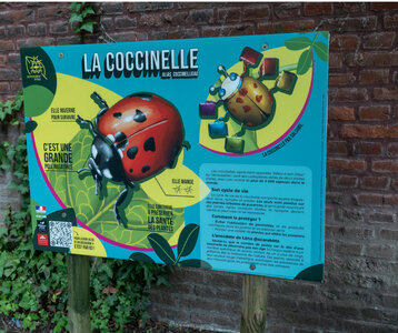 Loisirs Balade Les petites bêtes ville »