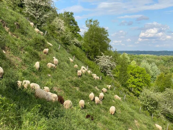 Loisirs Visite guidée dans Réserve la Montagne Pierre