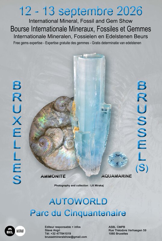 Loisirs Bourse mineraux fossiles belgique