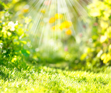 Loisirs Rallye Nature Y a printemps chante »