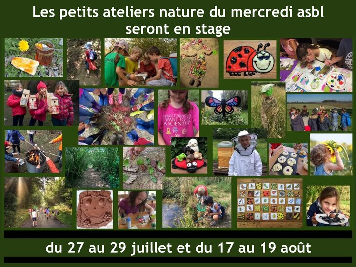 Stages,cours Découvre nature les 5 sens / petits ateliers nature mercredi asbl