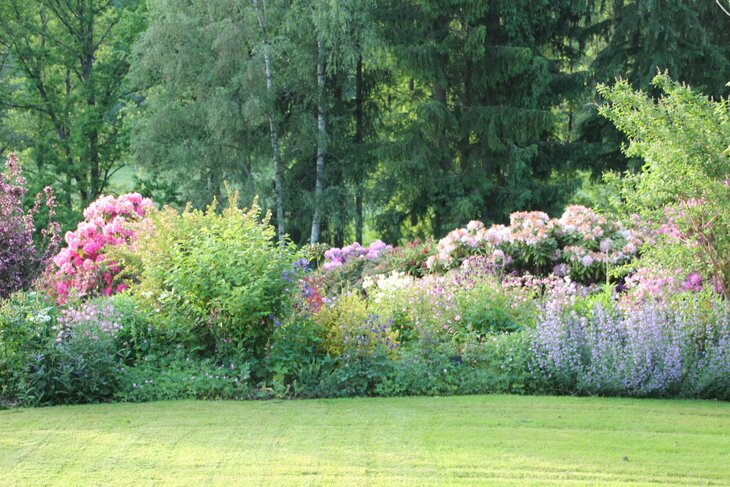 Loisirs Portes ouvertes. Visite jardin classé Pajawa comme jardin remarquable.