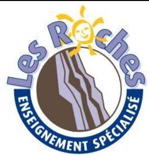 Loisirs Rallye automobile pour ancêtres