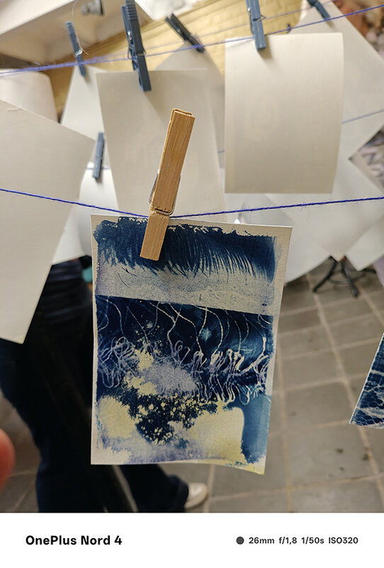 Stages,cours De l image l image