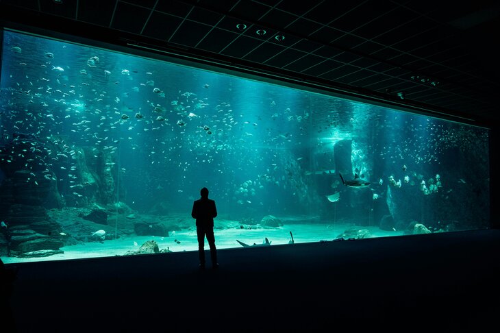 Loisirs Dans coulisses l Aquarium + pause gourmande + connexions & découvertes
