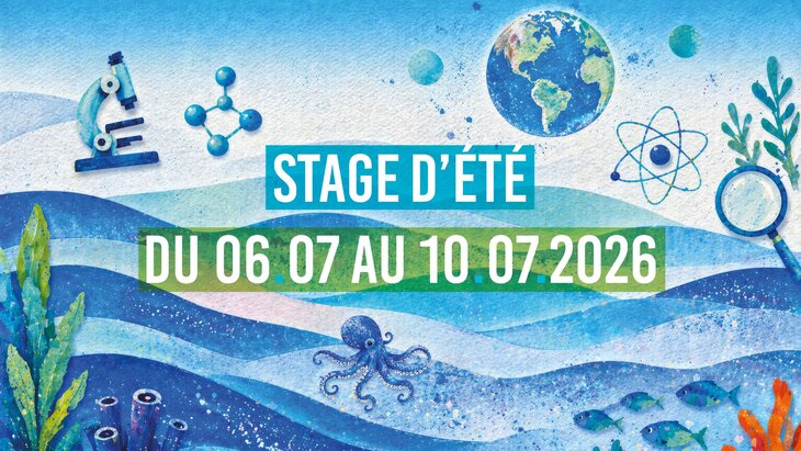 Stages,cours Stage - été entre sciences merveilles