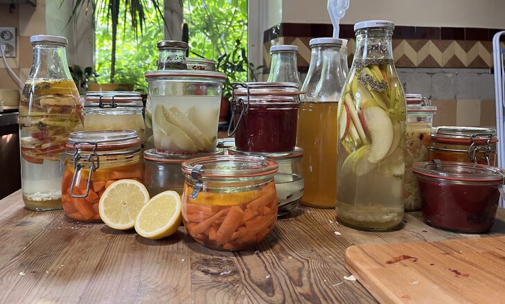 Stages,cours Formation lactofermentation
