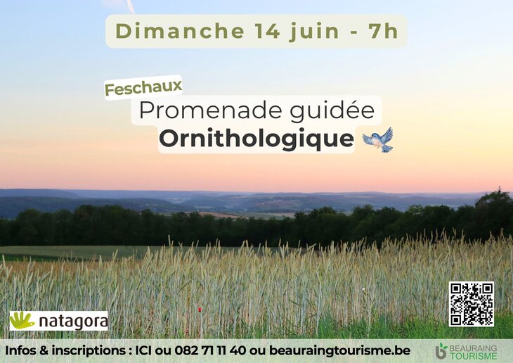 Loisirs Promenade guidée ornithologique