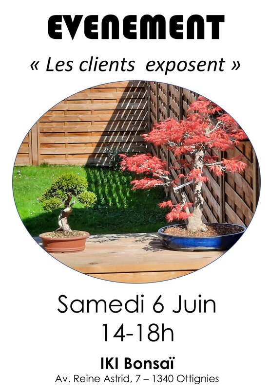 Expositions Bruno durand
