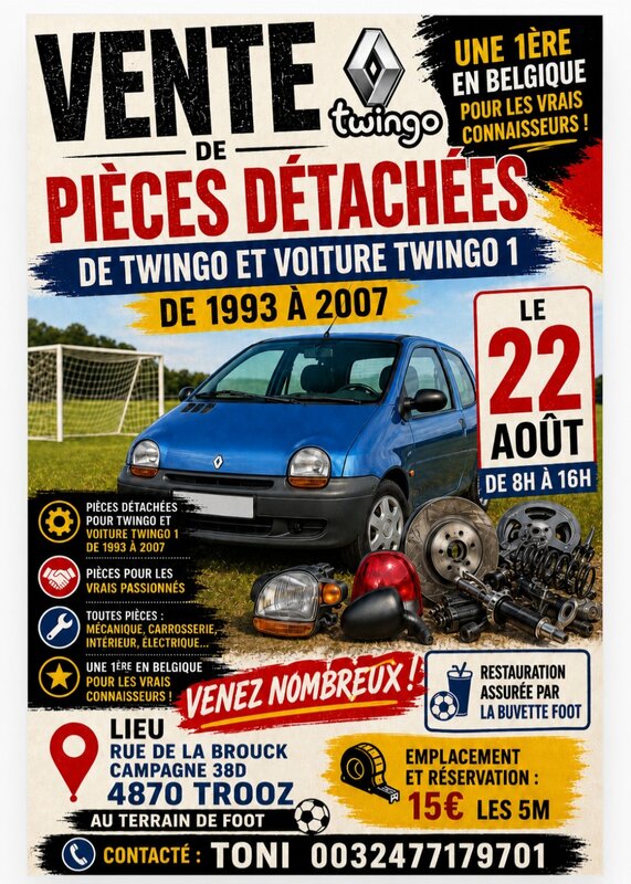 Loisirs Brocante pieces voitures twingo1
