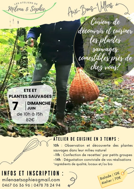 Stages,cours Atelier été plantes sauvages