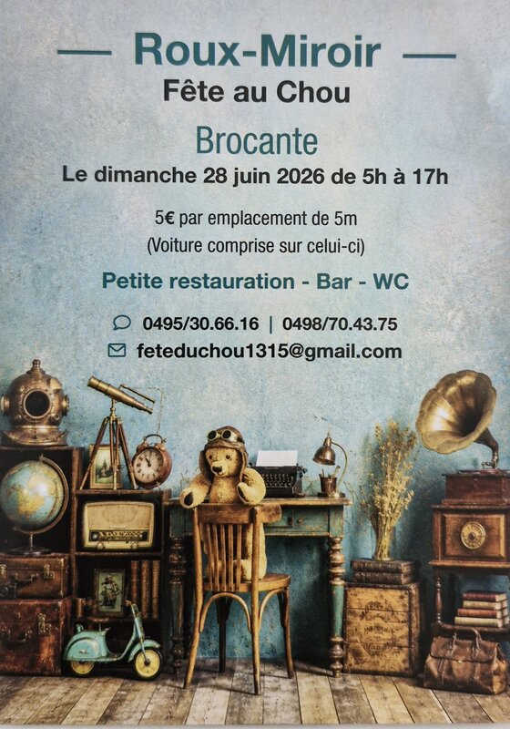  25eme  Broncante roux-miroir