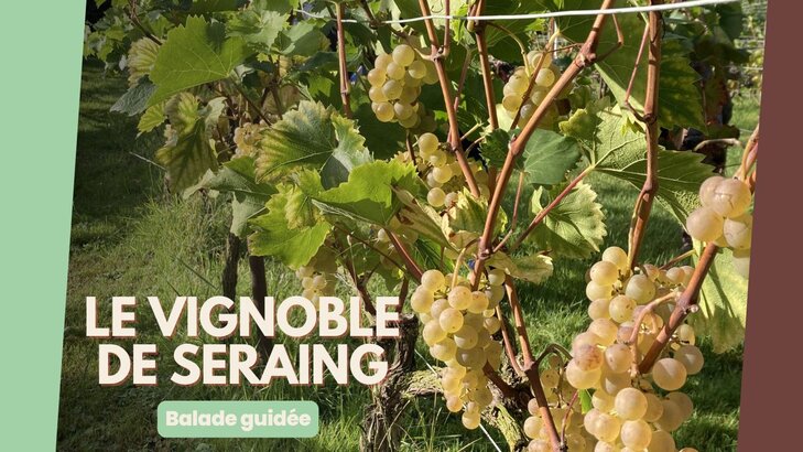 Loisirs Balade travers vignoble