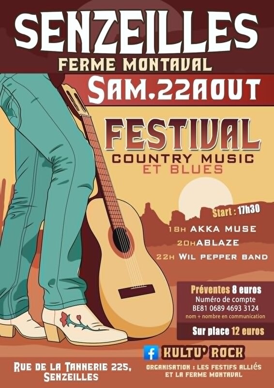 Concerts Petit festival country - blues