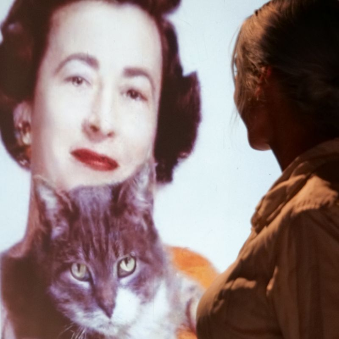 Spectacles Biographies Animales