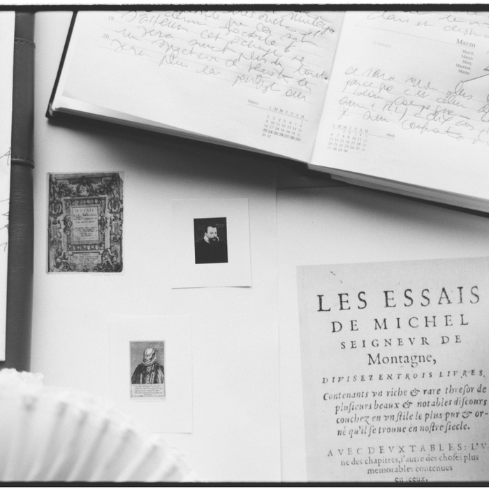 Spectacles Montaigne