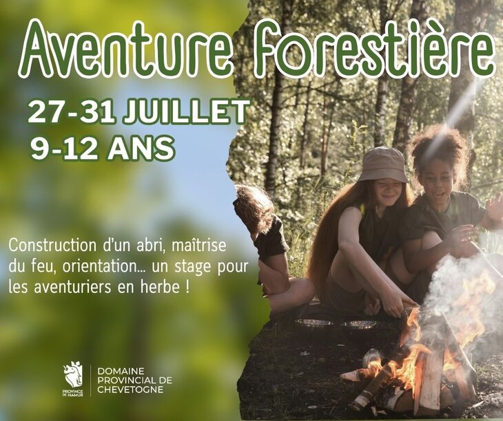 Stages,cours Stage Aventure forestière