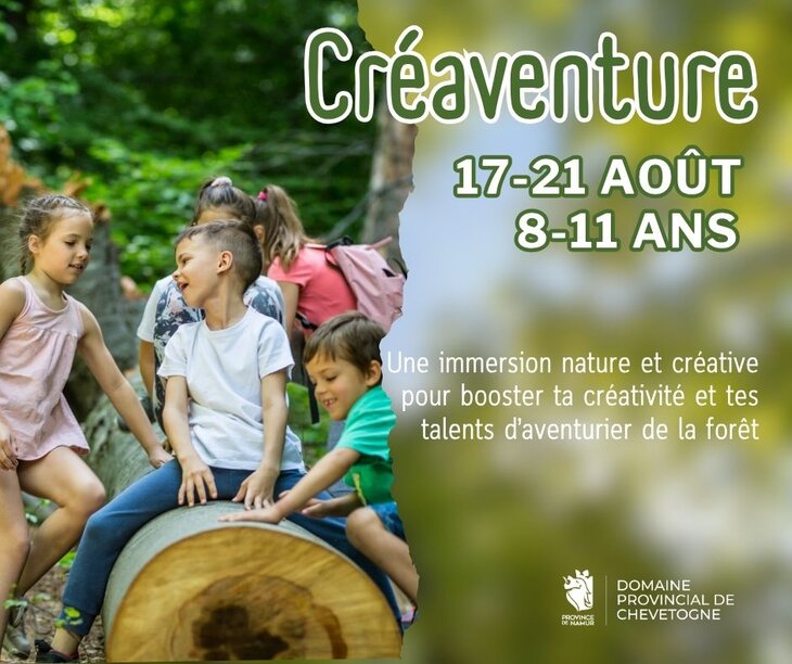 Stages,cours Stage Créaventure