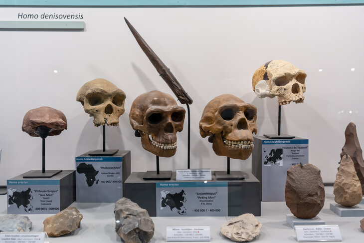 Loisirs Visite guidée - Galerie l’évolution humanités des techniques