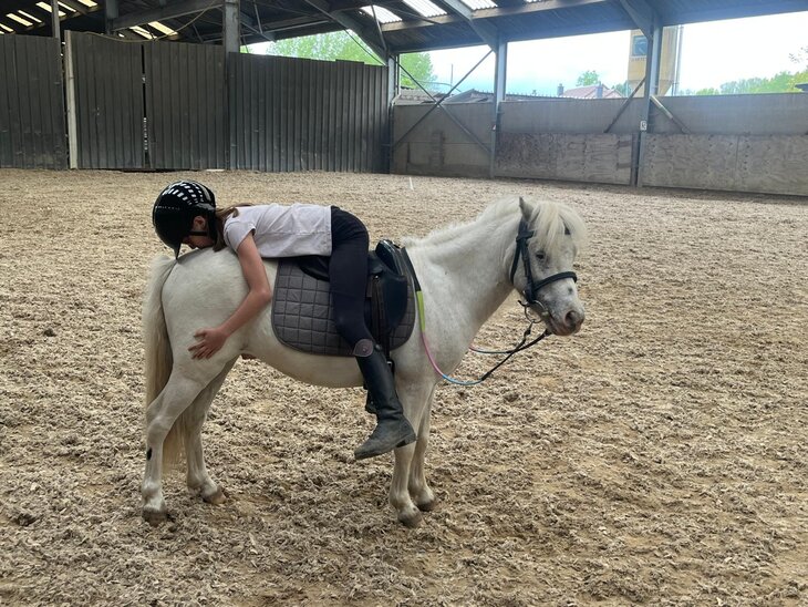 Stages,cours Equitation