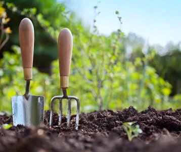 Stages,cours Atelier jardinage